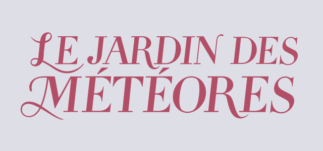Meteor Garden FR
