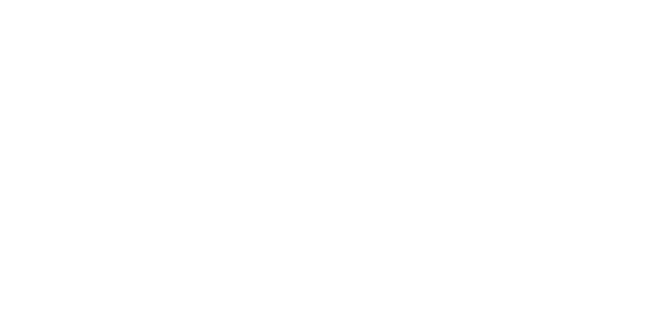 Meteor Garden - undefined - Pixel Deep artwork