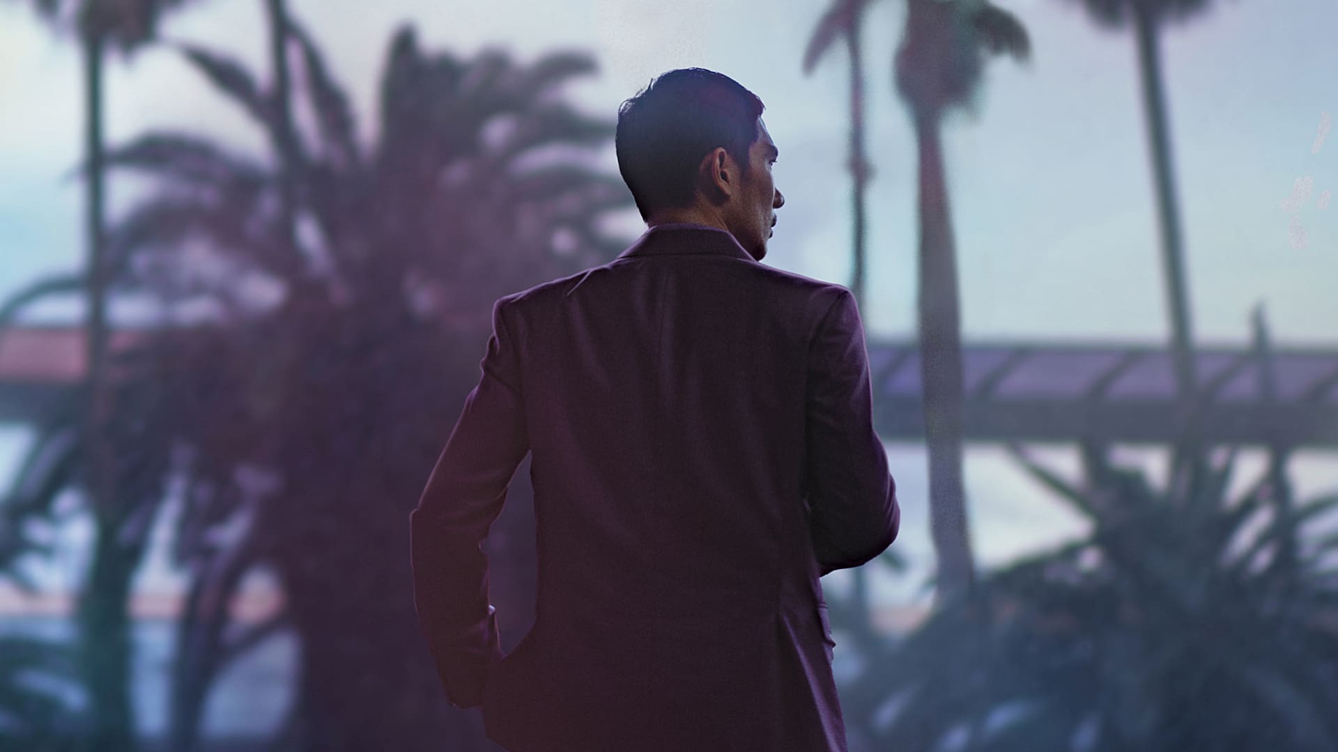 Night in Paradise - main banner image