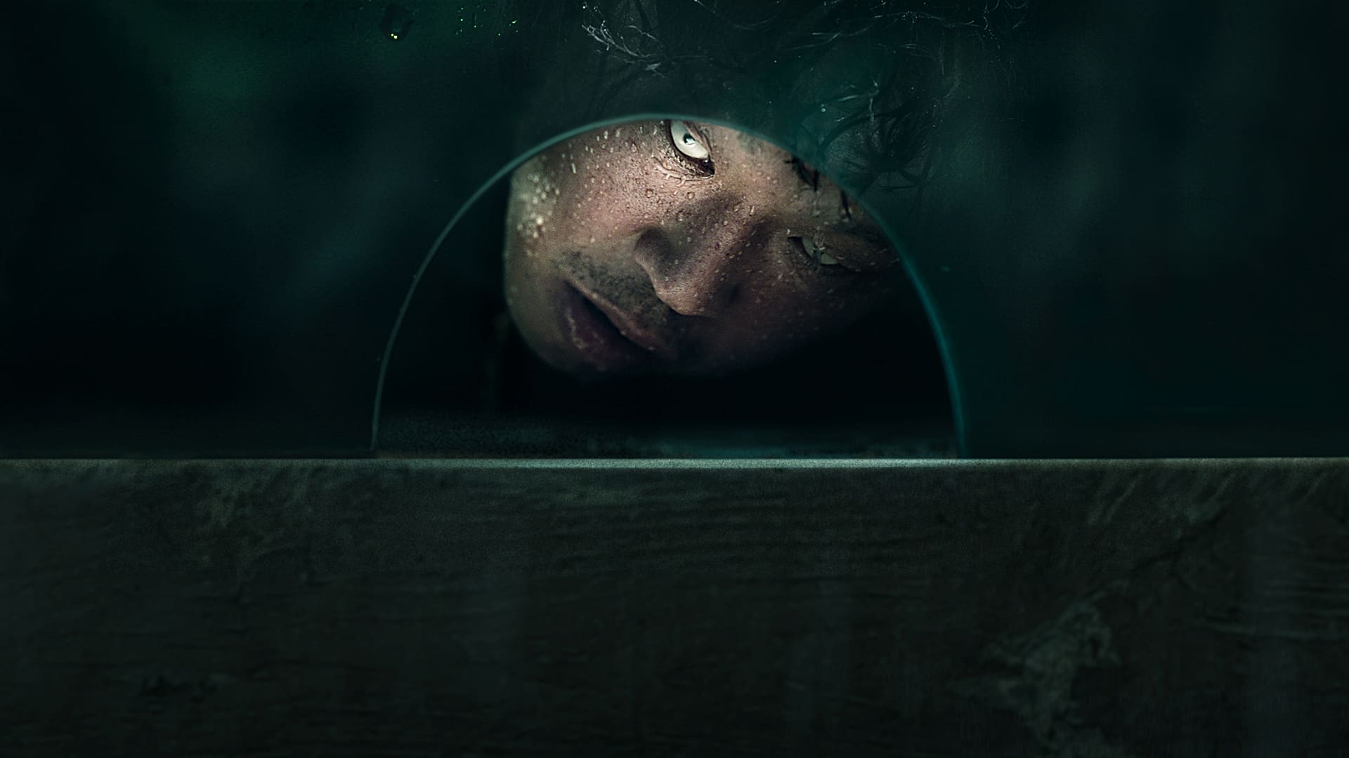The 8th Night - main banner image