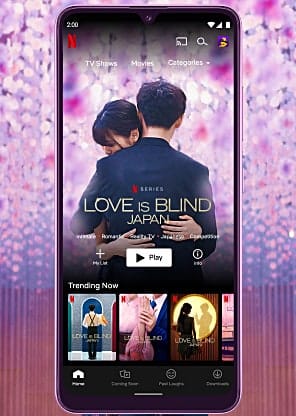 Love is Blind Japan - 2 - Pixel Deep artwork